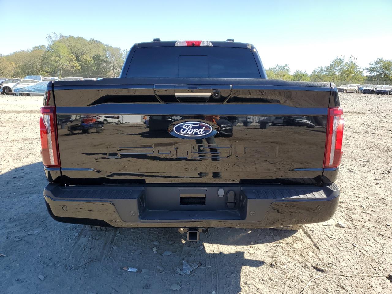 2024 FORD F150 PLATINUM photo 11