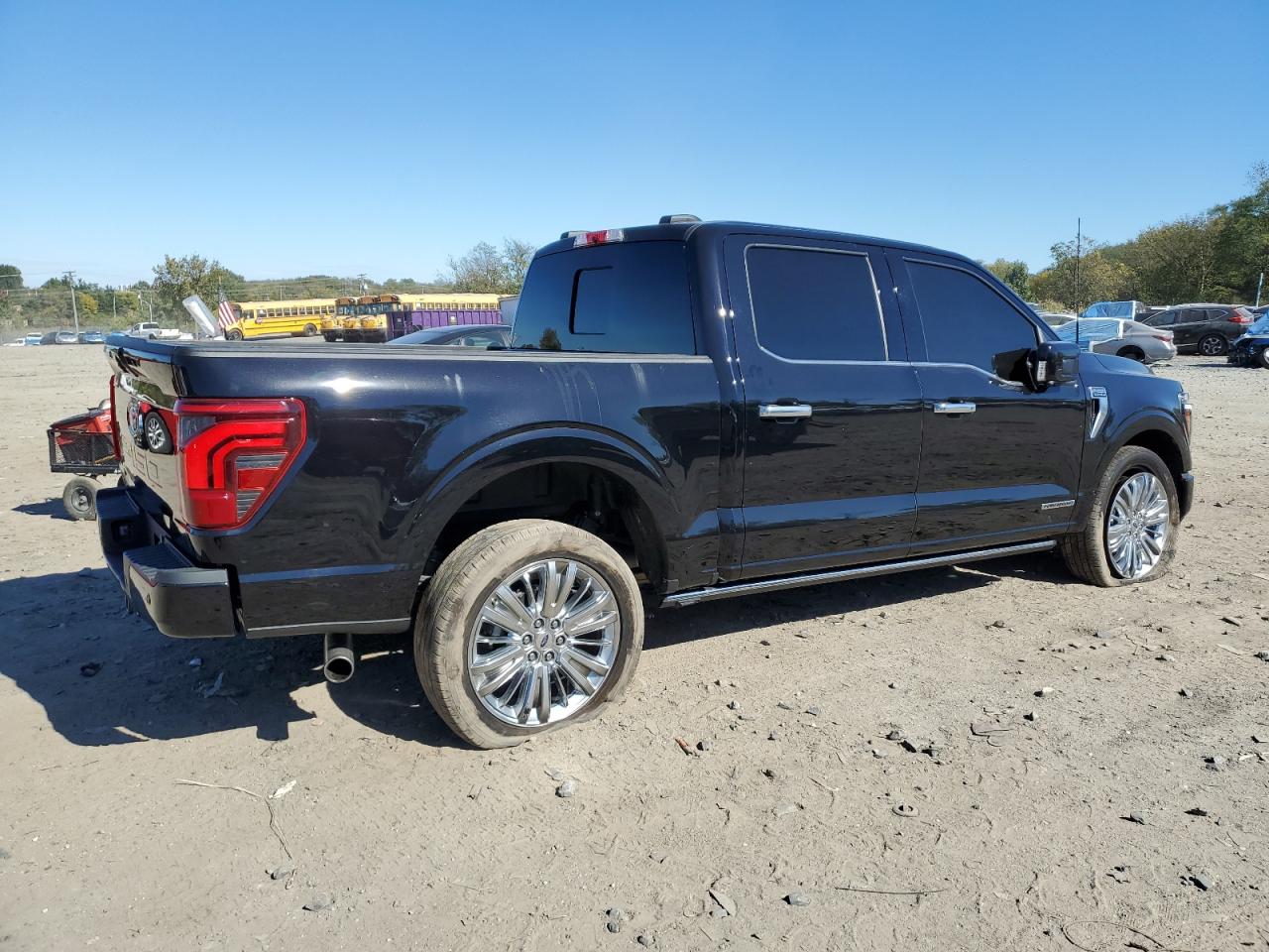 2024 FORD F150 PLATINUM photo 5