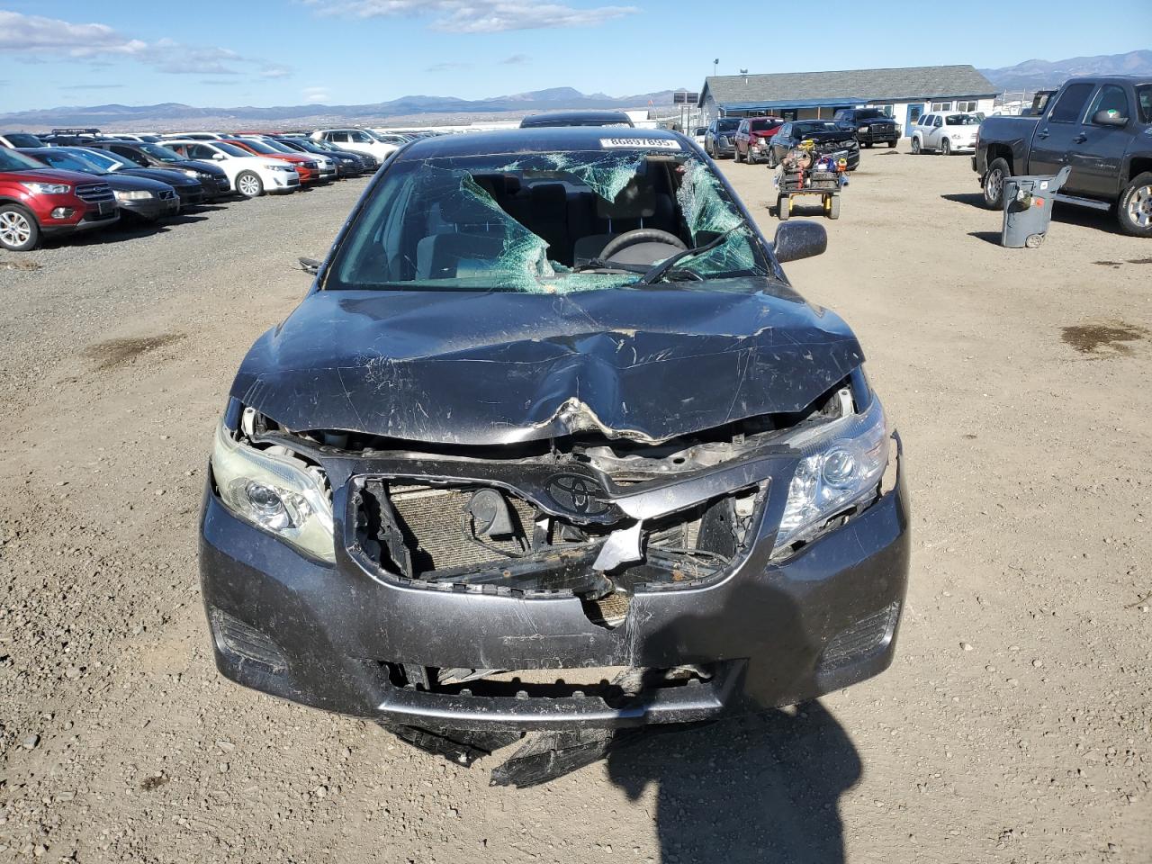 2010 TOYOTA CAMRY LE photo 5