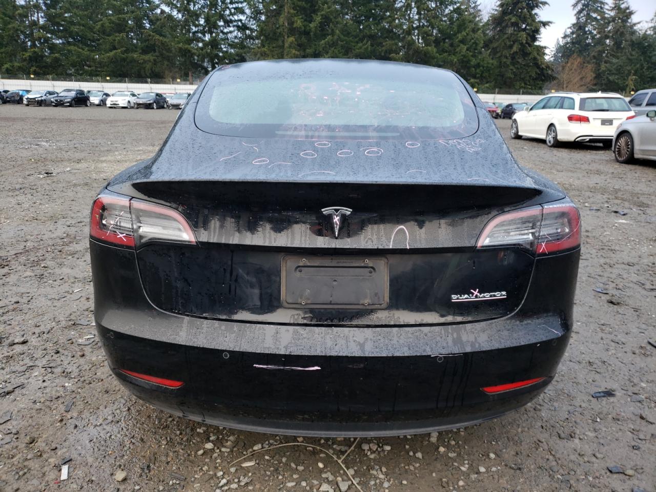 2019 TESLA MODEL 3 photo 11