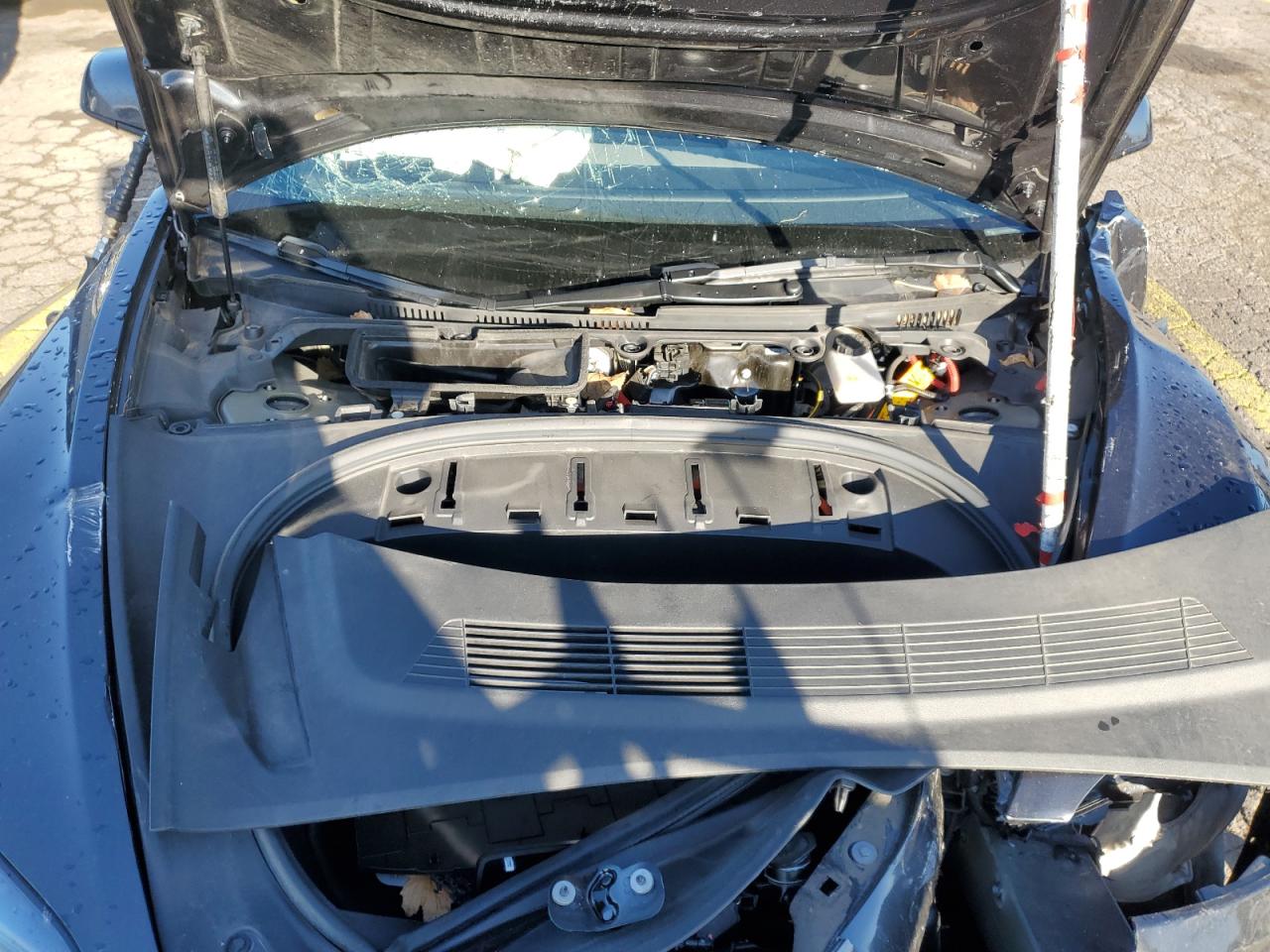 2024 TESLA MODEL 3 photo 23