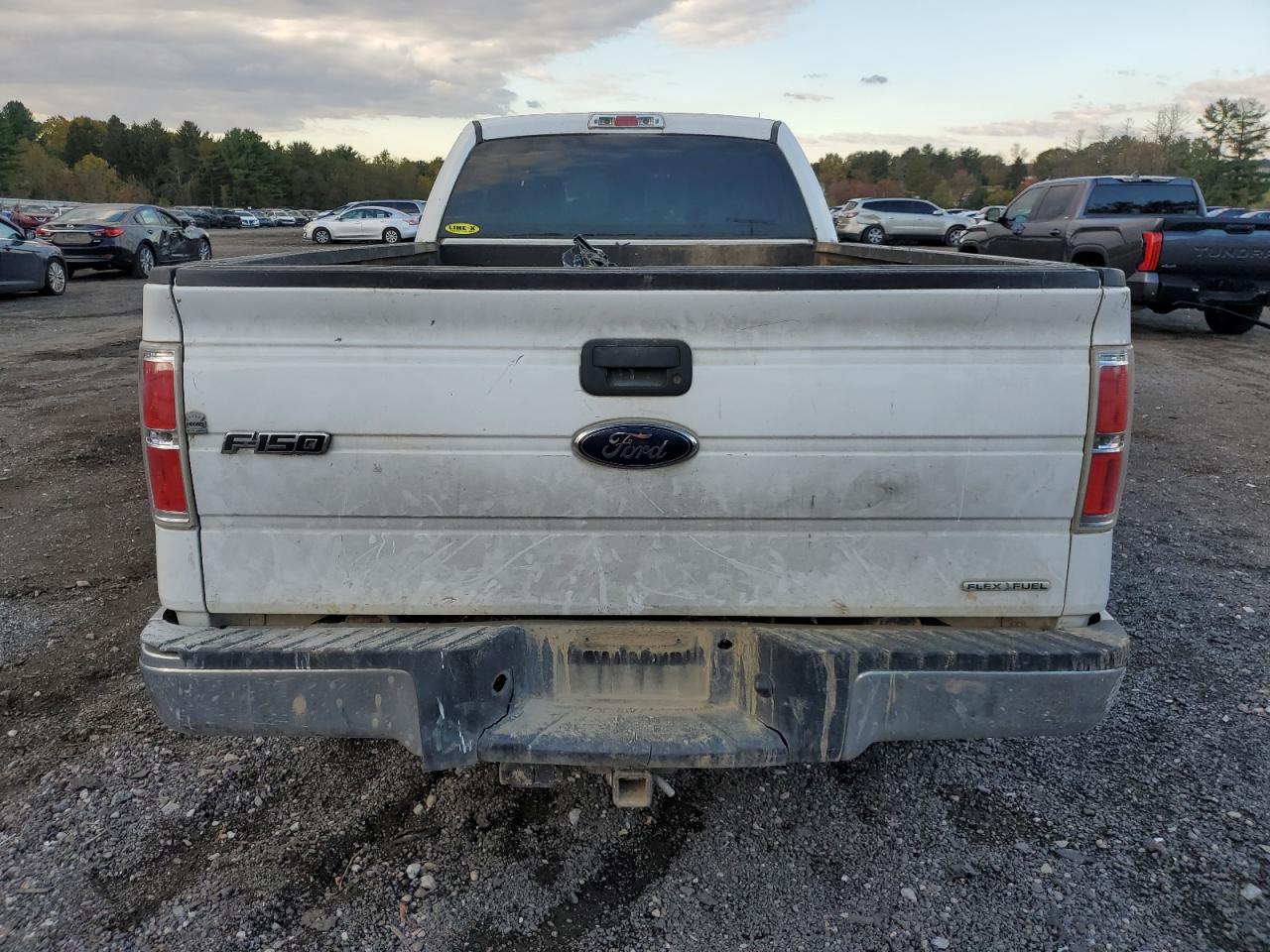 2013 FORD F150 SUPER CAB photo 11