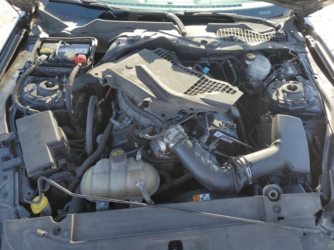 2015 FORD MUSTANG photo 11
