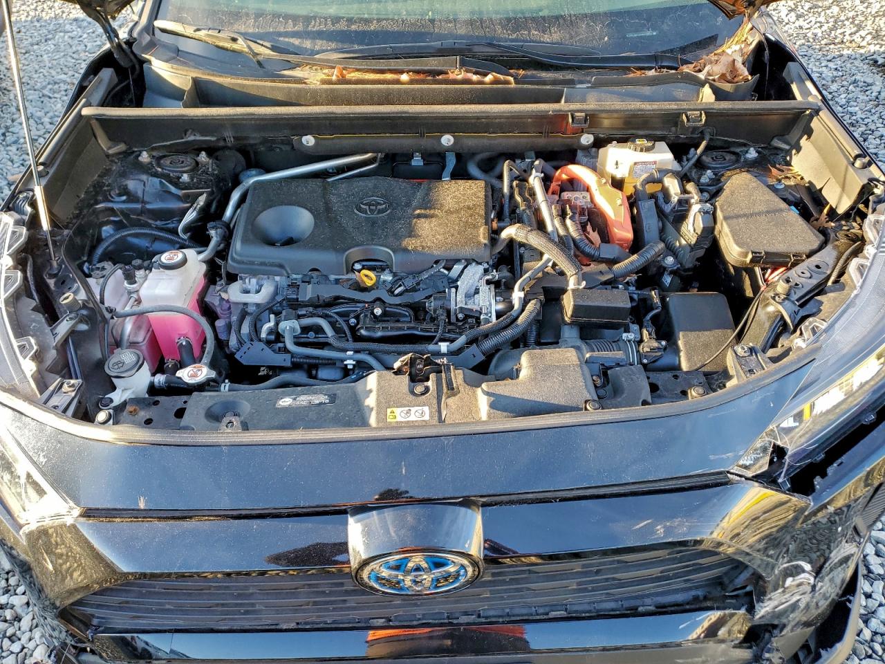 2021 TOYOTA RAV4 LE photo 23