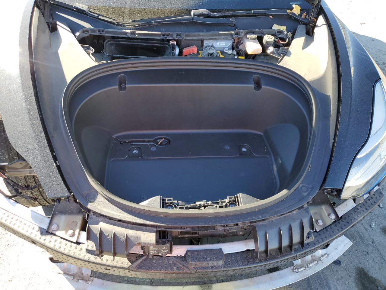 2020 TESLA MODEL 3 photo 21