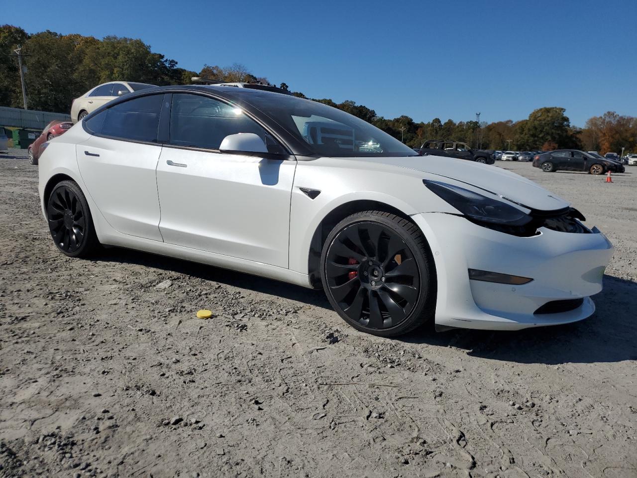 2022 TESLA MODEL 3 photo 10