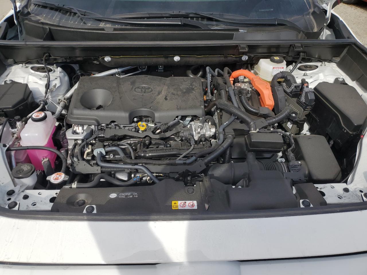 2025 TOYOTA RAV4 XLE photo 12