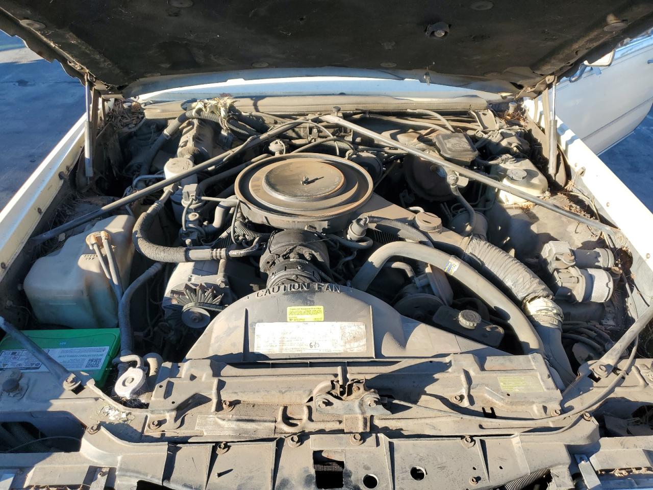 1985 CADILLAC ELDORADO photo 11