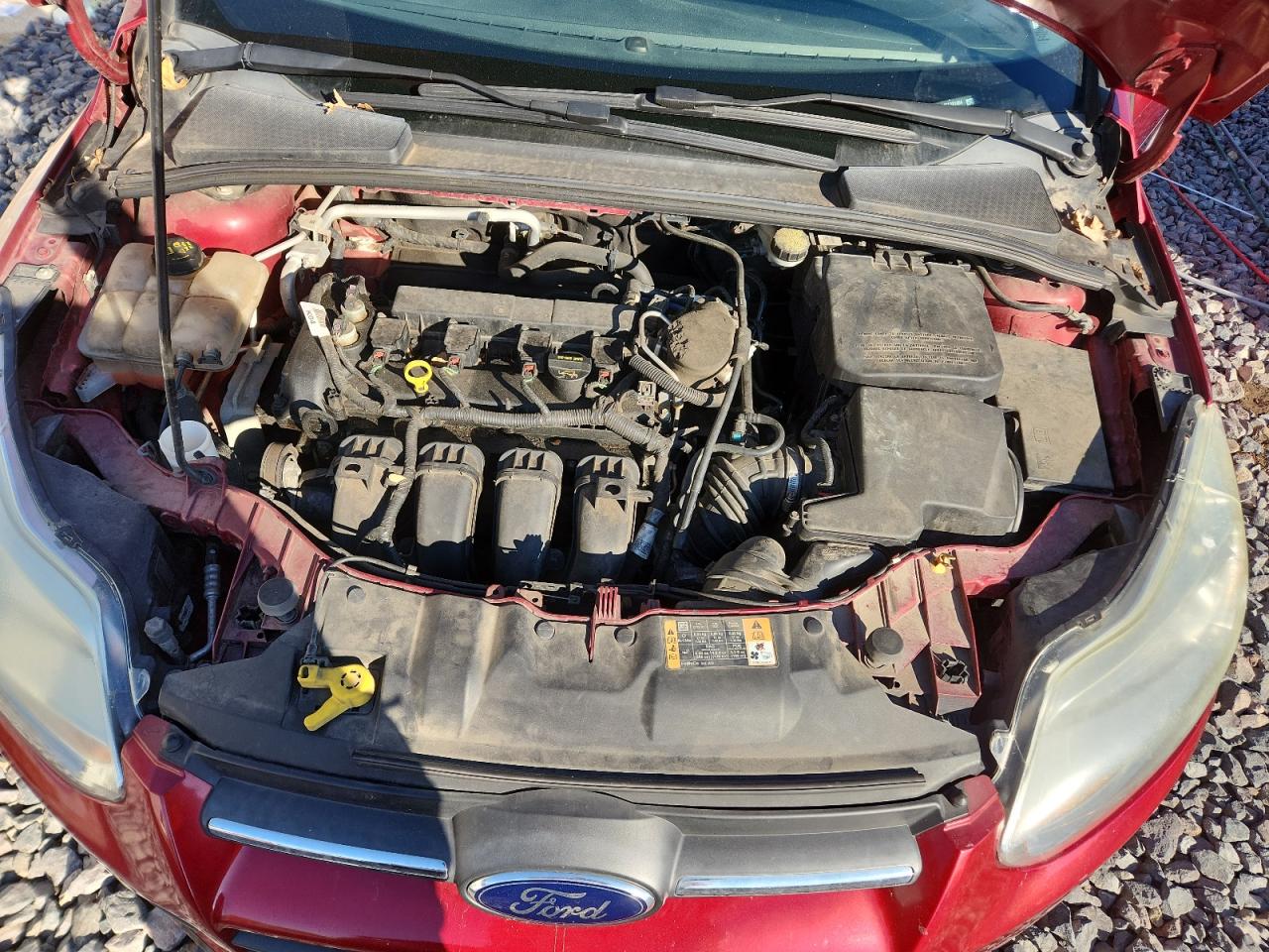 2014 FORD FOCUS SE photo 11