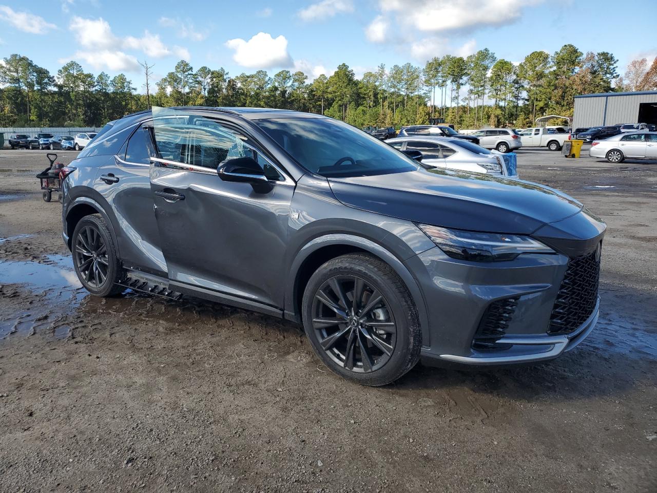 2025 LEXUS RX 350 BASE photo 7