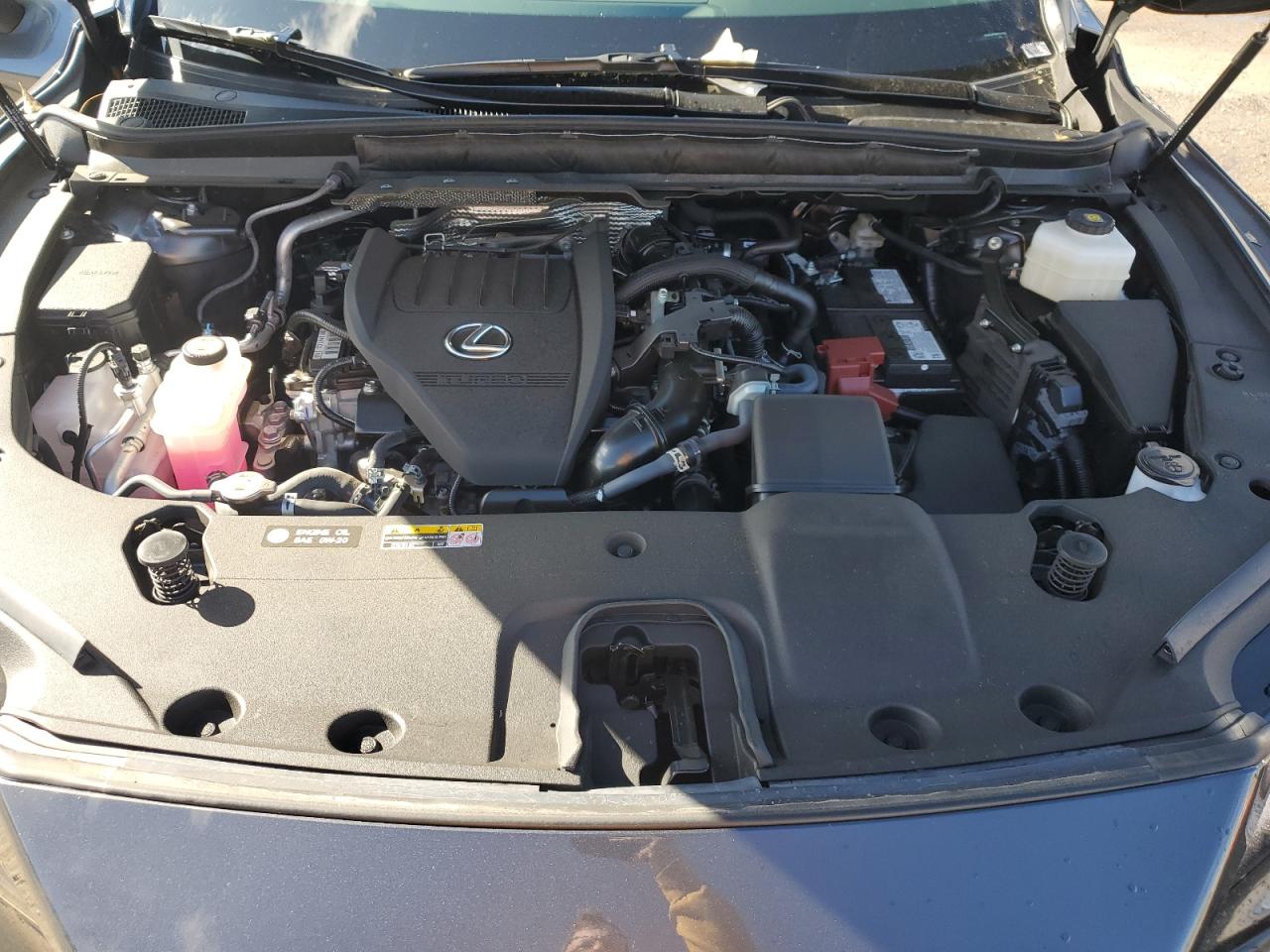 2025 LEXUS RX 350 BASE photo 23
