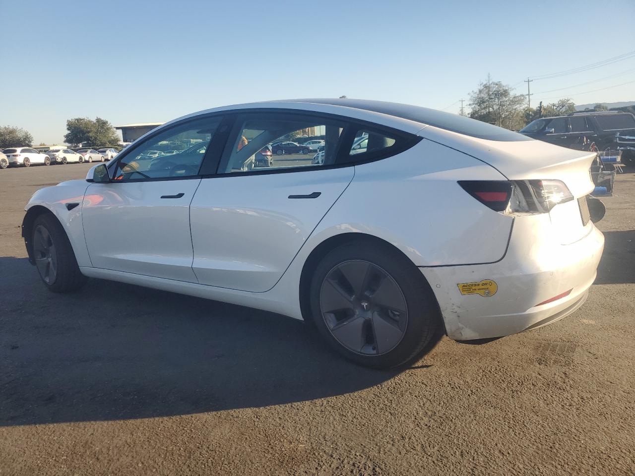 2021 TESLA MODEL 3 photo 4