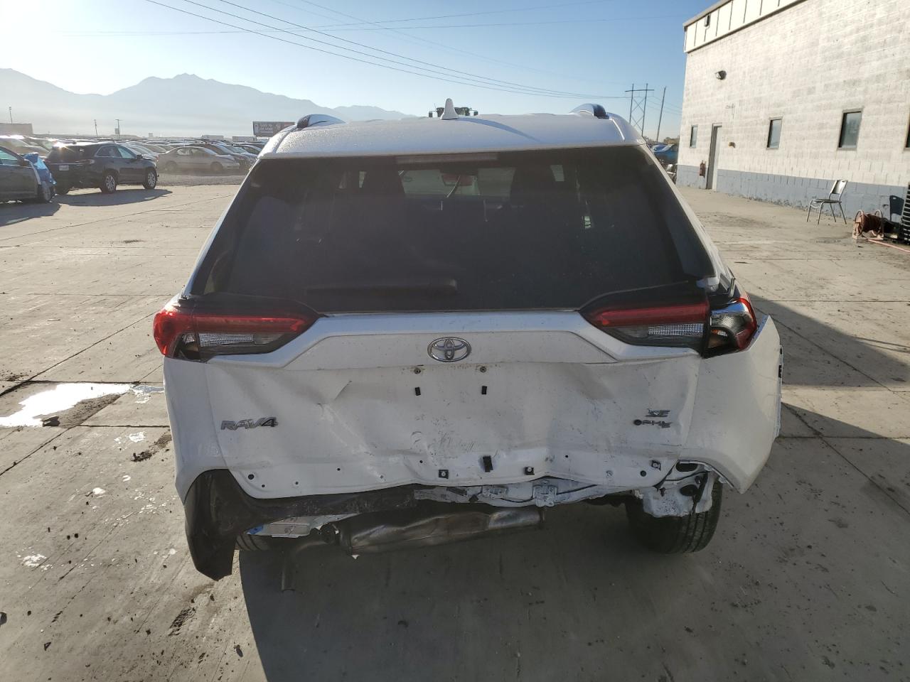 2025 TOYOTA RAV4 SE photo 11