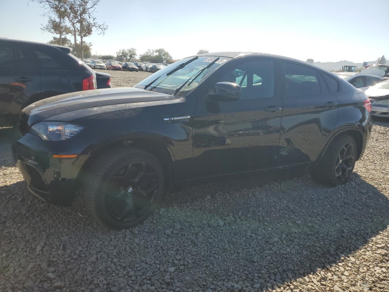 2012 BMW X6