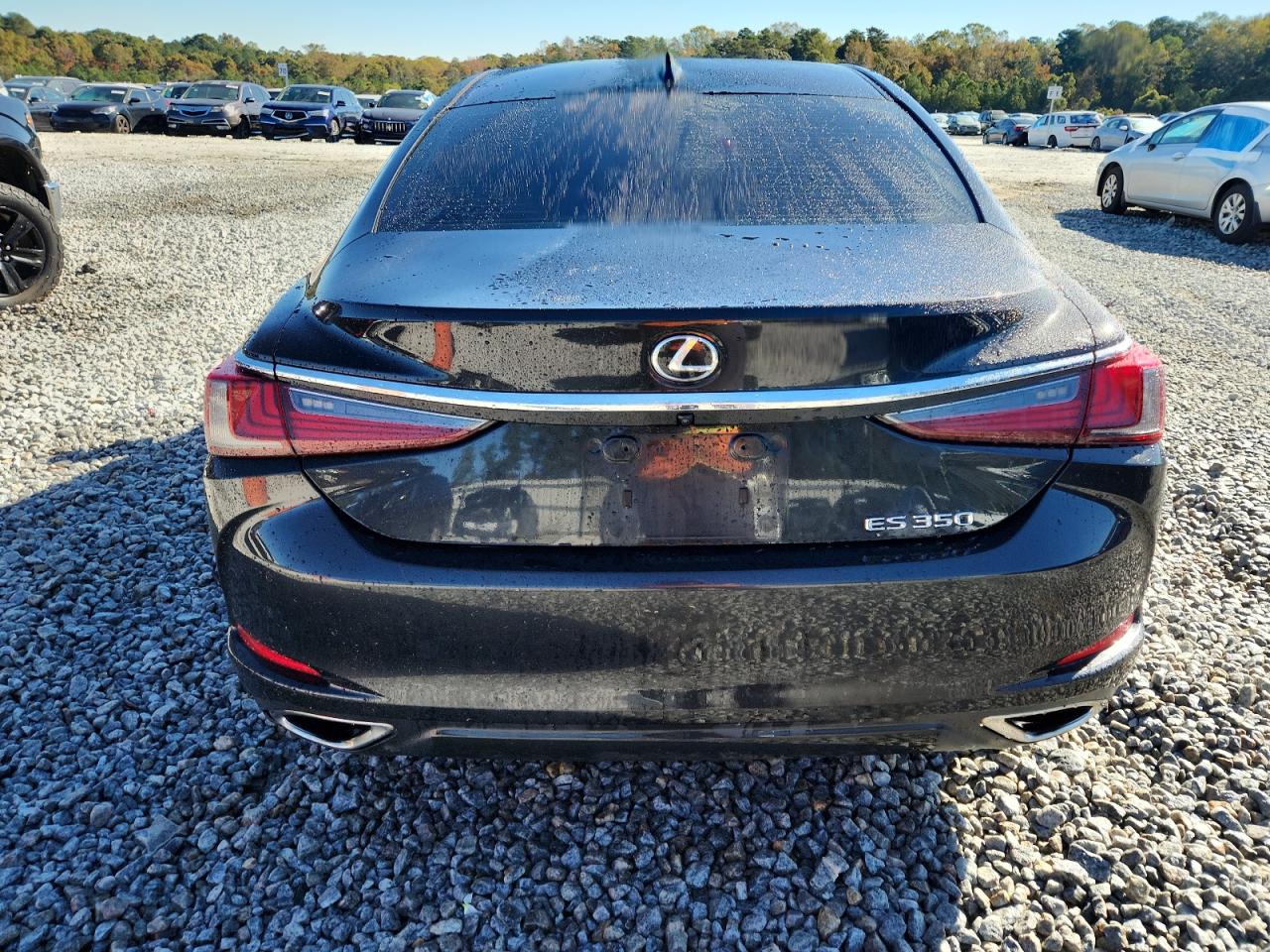 2020 LEXUS ES 350 photo 6