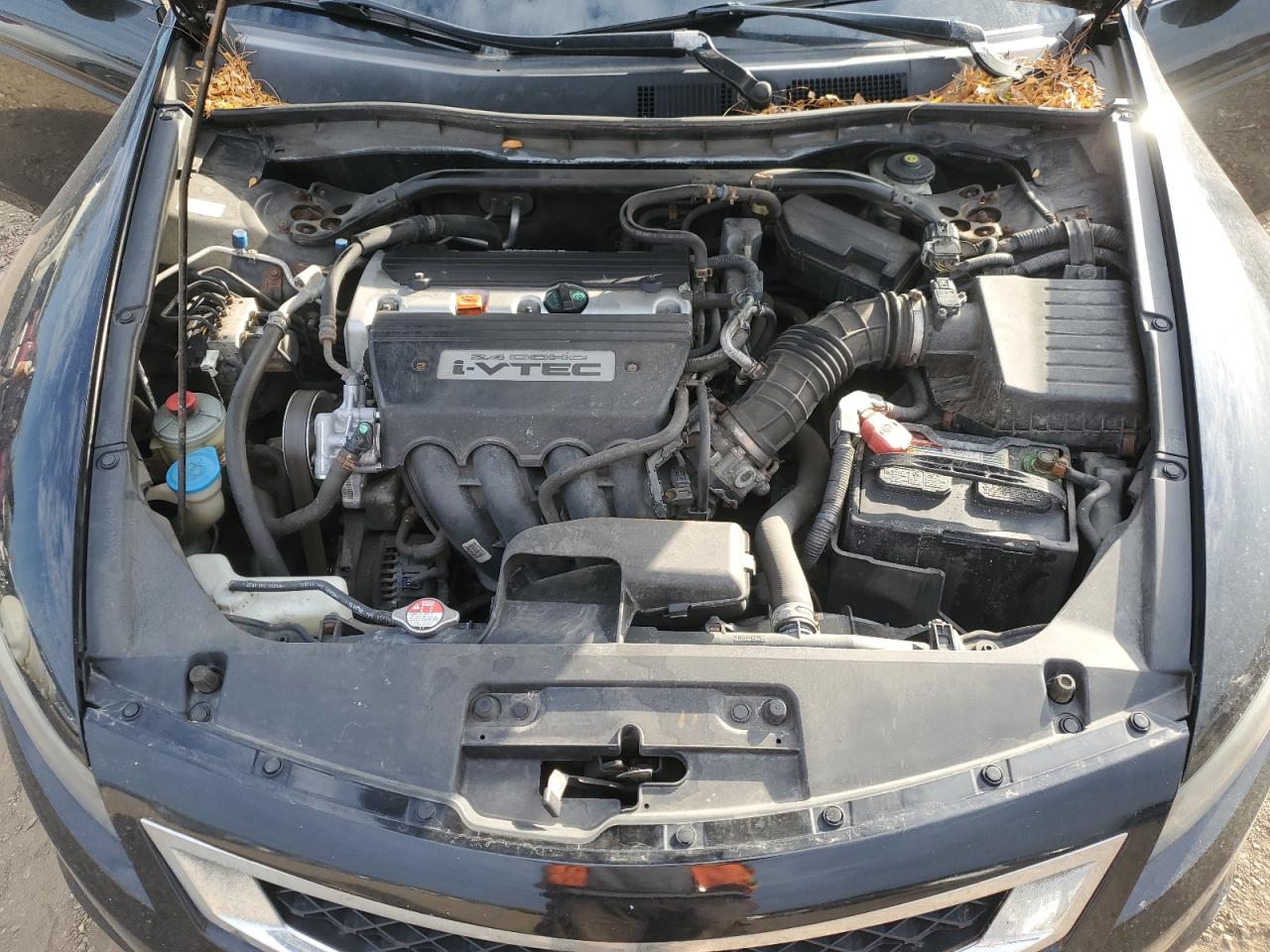 2008 HONDA ACCORD EX photo 11