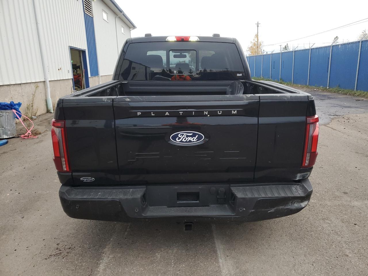 2025 FORD F150 PLATINUM photo 6