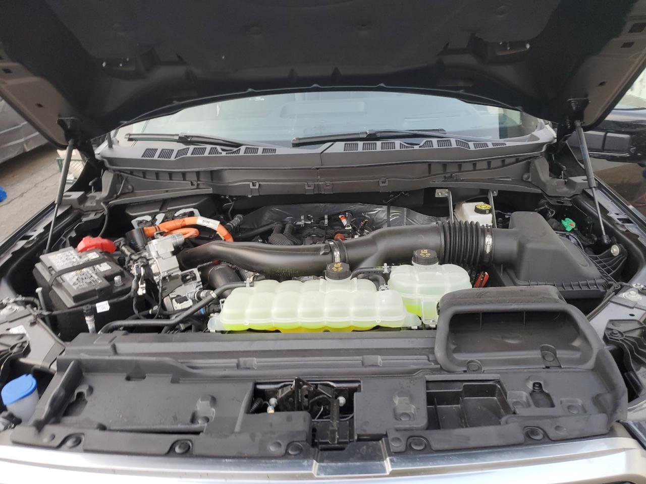 2025 FORD F150 PLATINUM photo 11