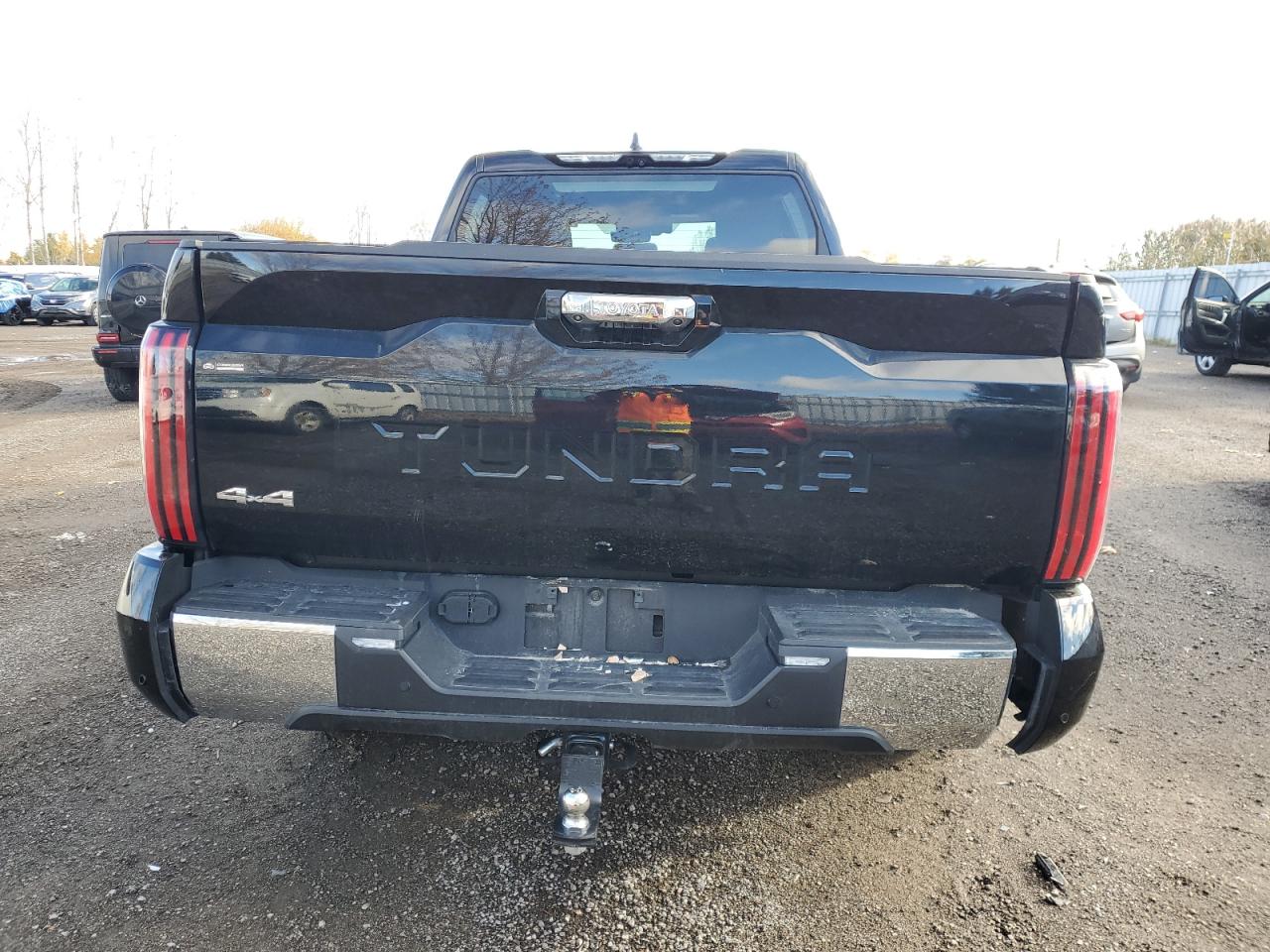 2024 TOYOTA TUNDRA CREWMAX PLATINUM photo 6