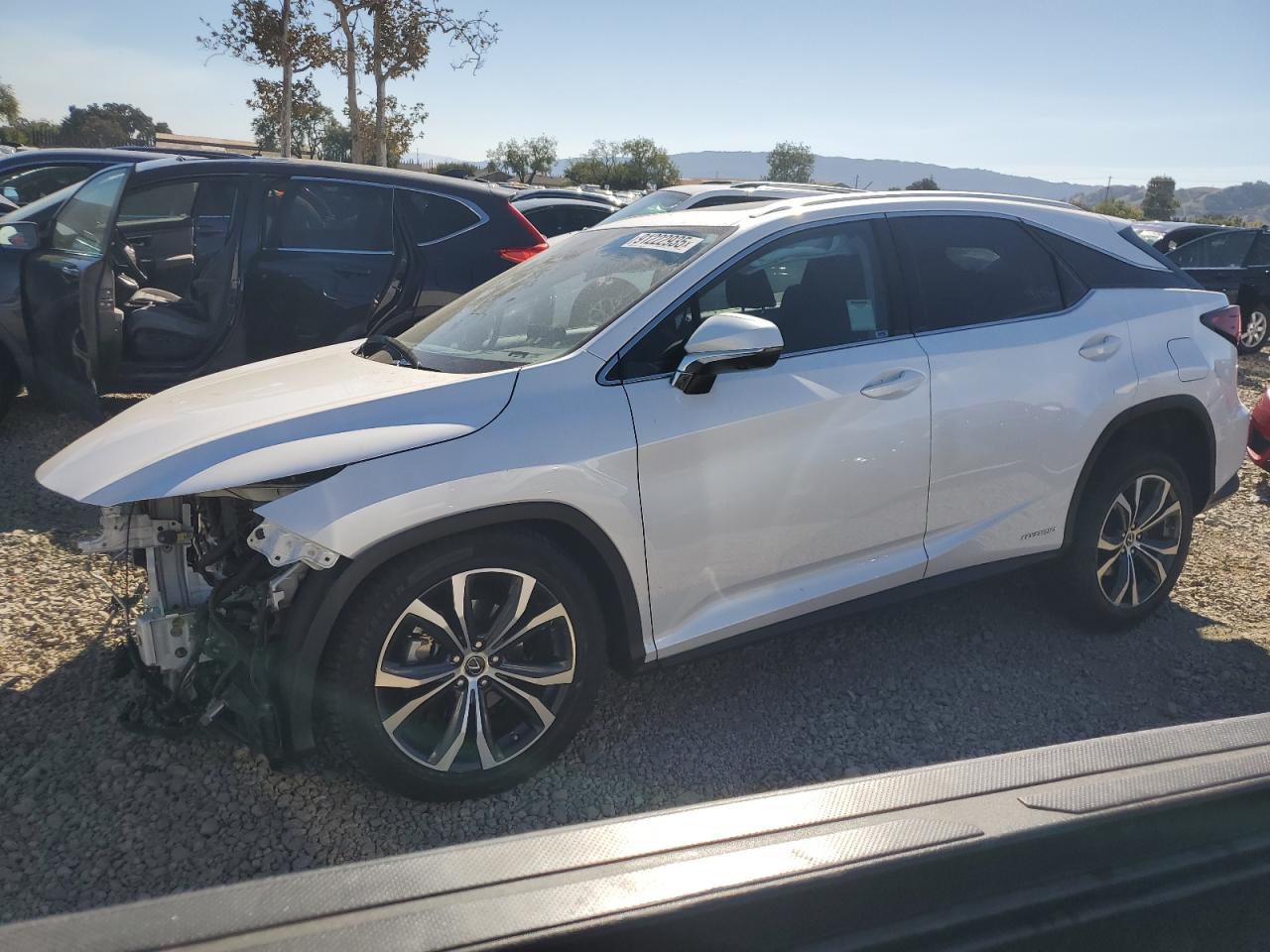 2022 LEXUS RX