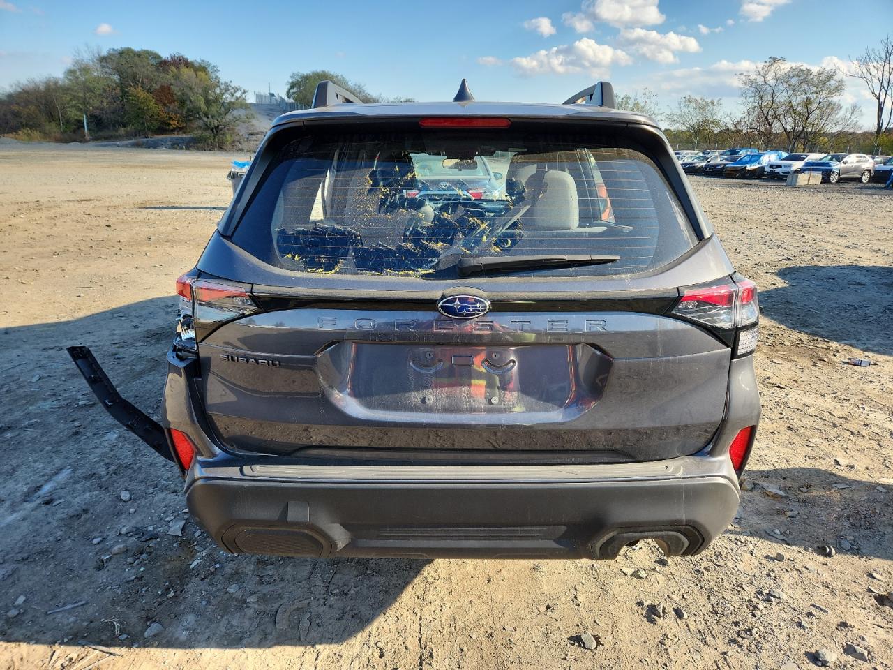 2025 SUBARU FORESTER photo 11