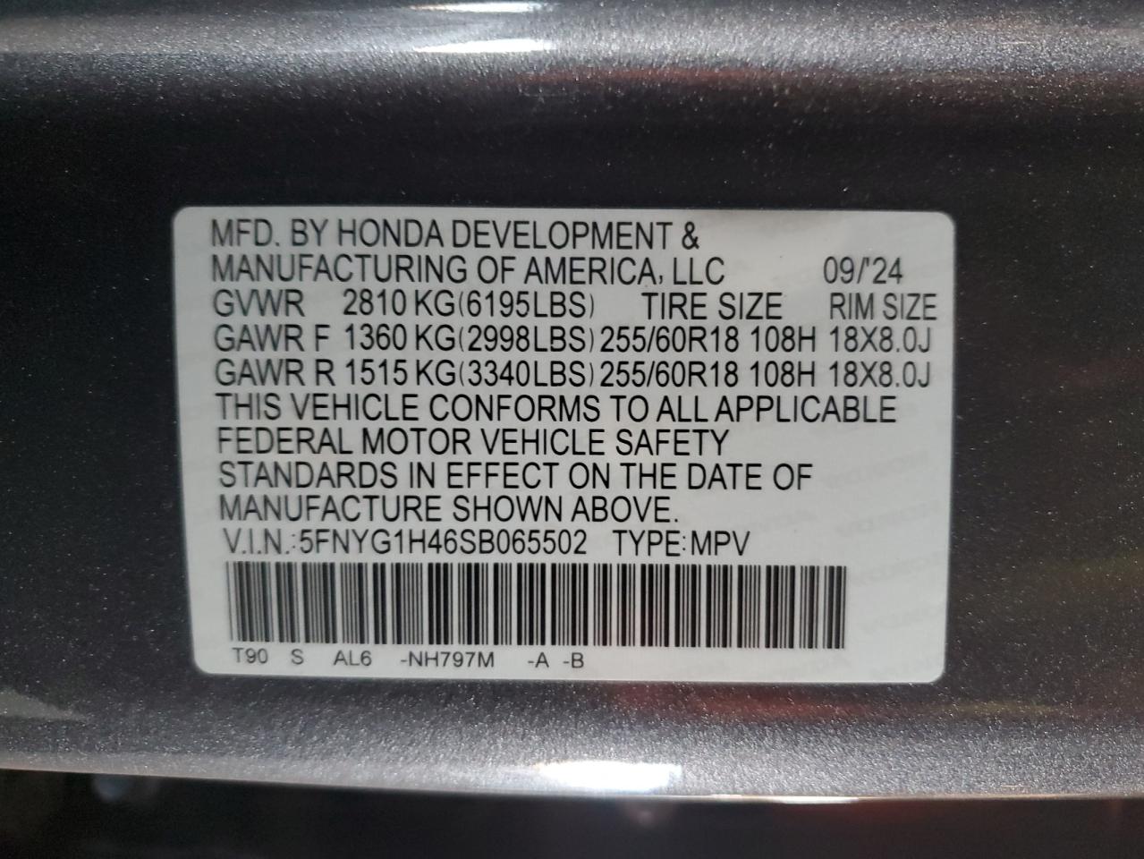 2025 HONDA PILOT EXL photo 13