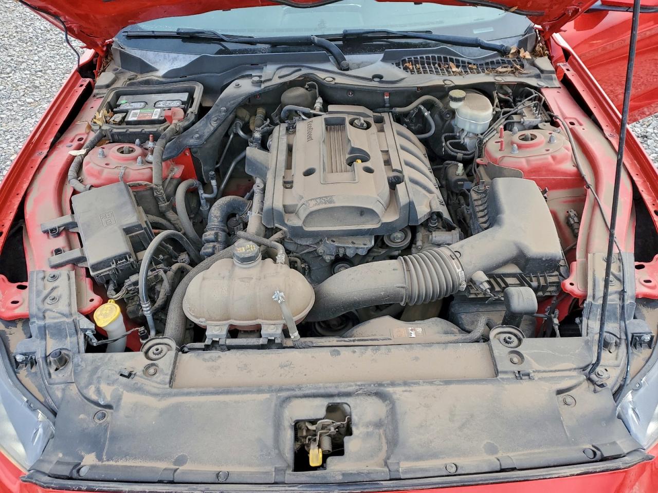 2015 FORD MUSTANG photo 21