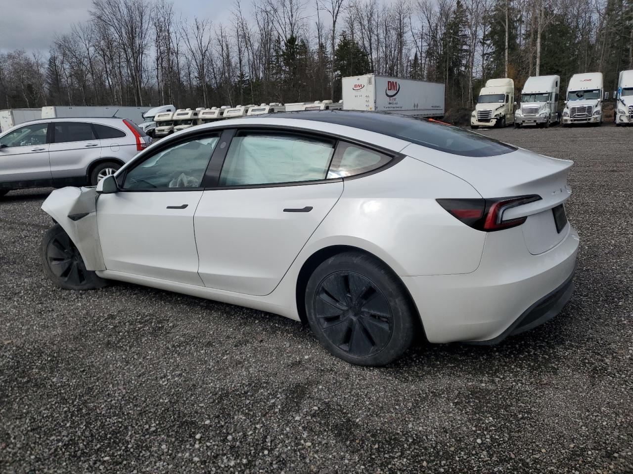 2024 TESLA MODEL 3 photo 2