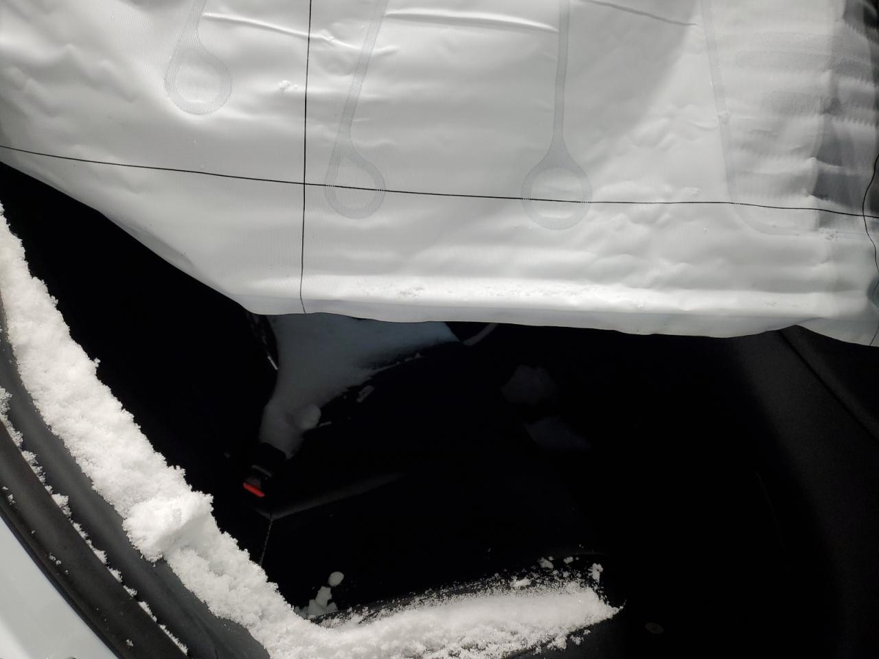 2024 TESLA MODEL 3 photo 10