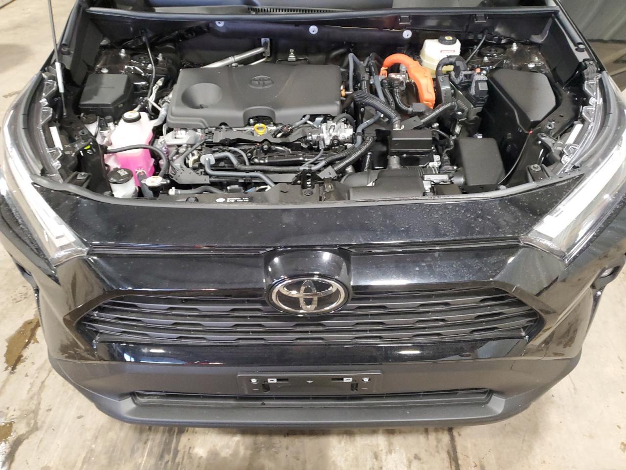 2025 TOYOTA RAV4 XLE PREMIUM photo 12