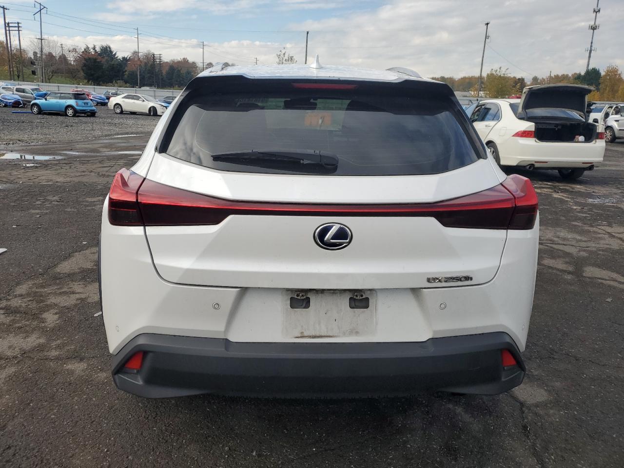 2019 LEXUS UX 250H photo 11