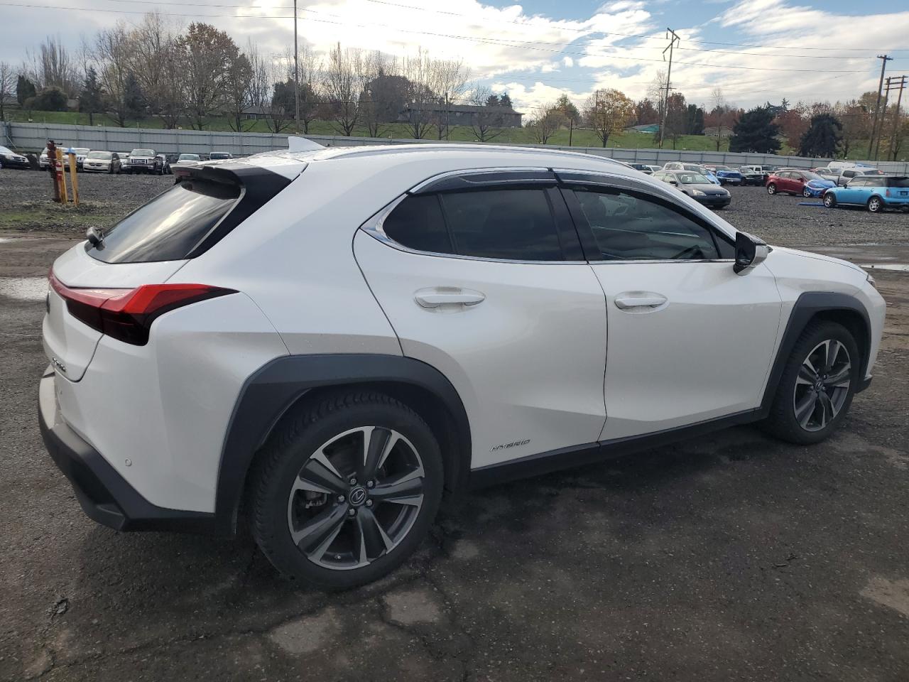 2019 LEXUS UX 250H photo 5