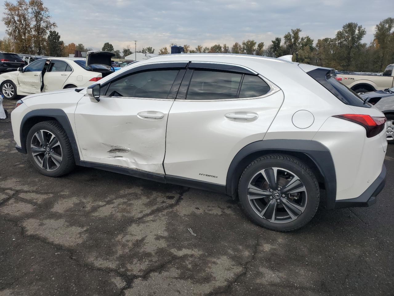 2019 LEXUS UX 250H photo 3