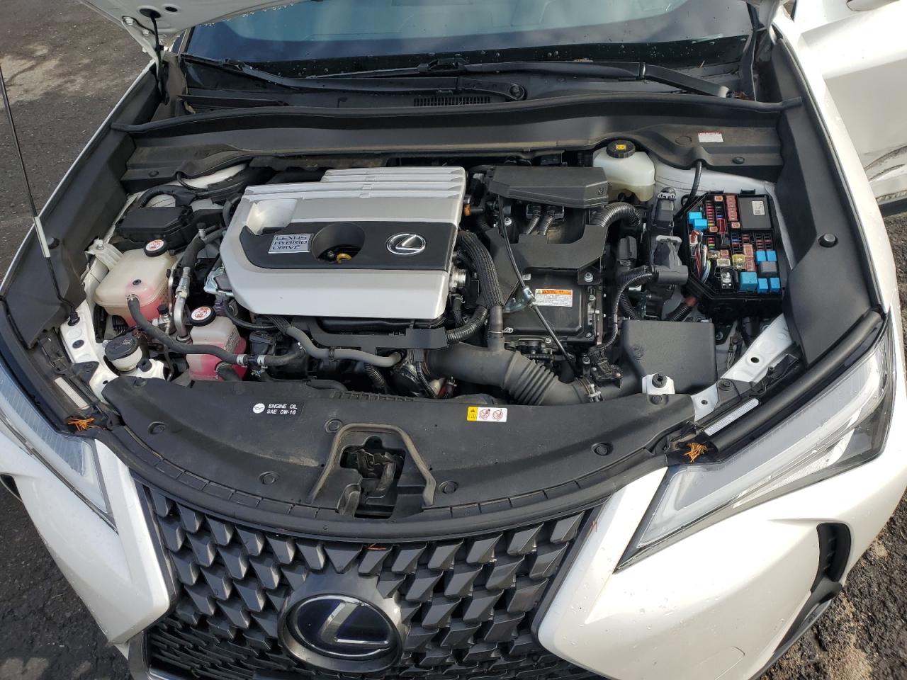 2019 LEXUS UX 250H photo 21
