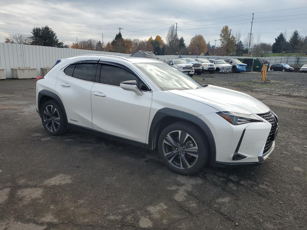 2019 LEXUS UX 250H photo 7
