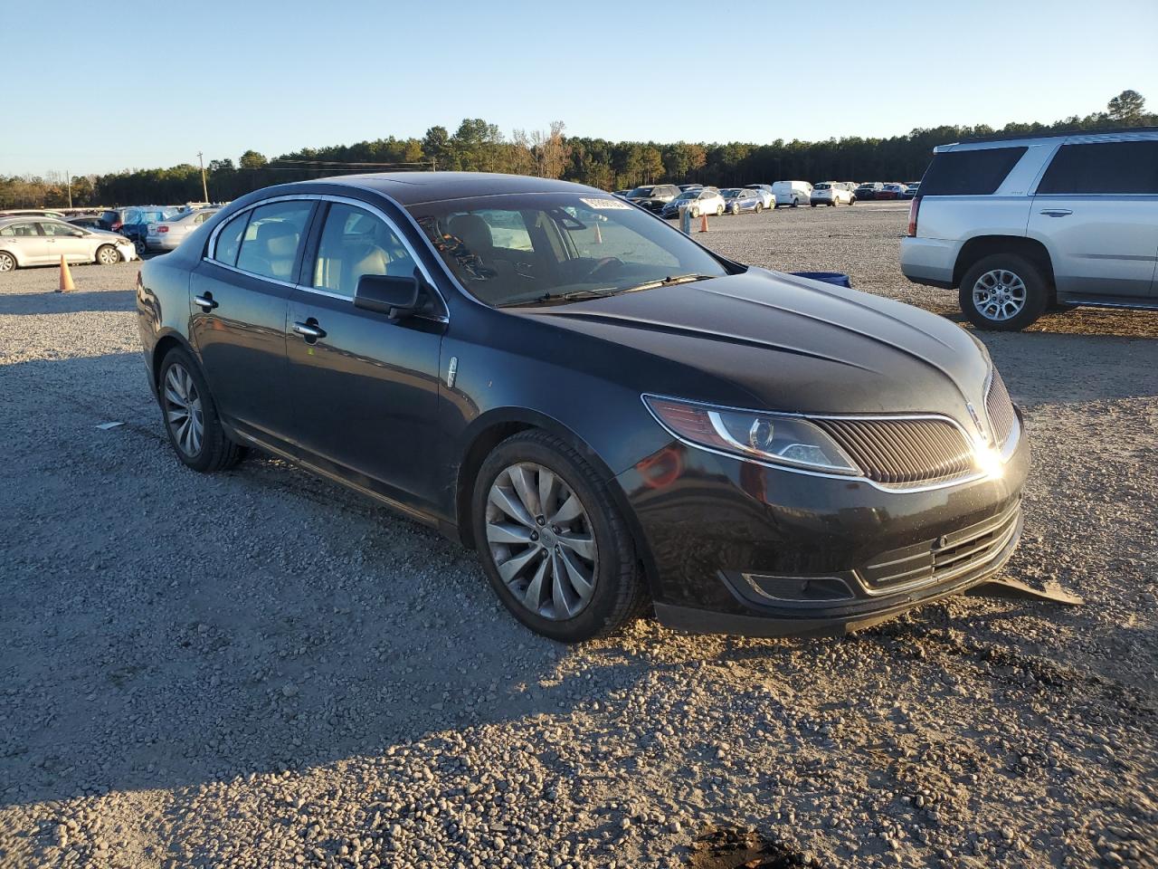 2014 LINCOLN MKS photo 10