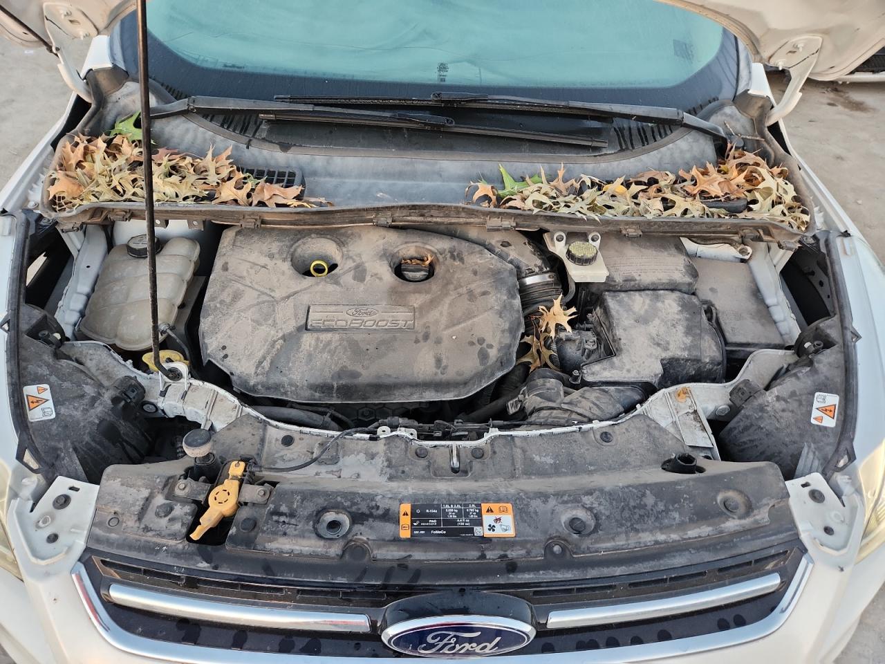 2013 FORD ESCAPE TITANIUM photo 31