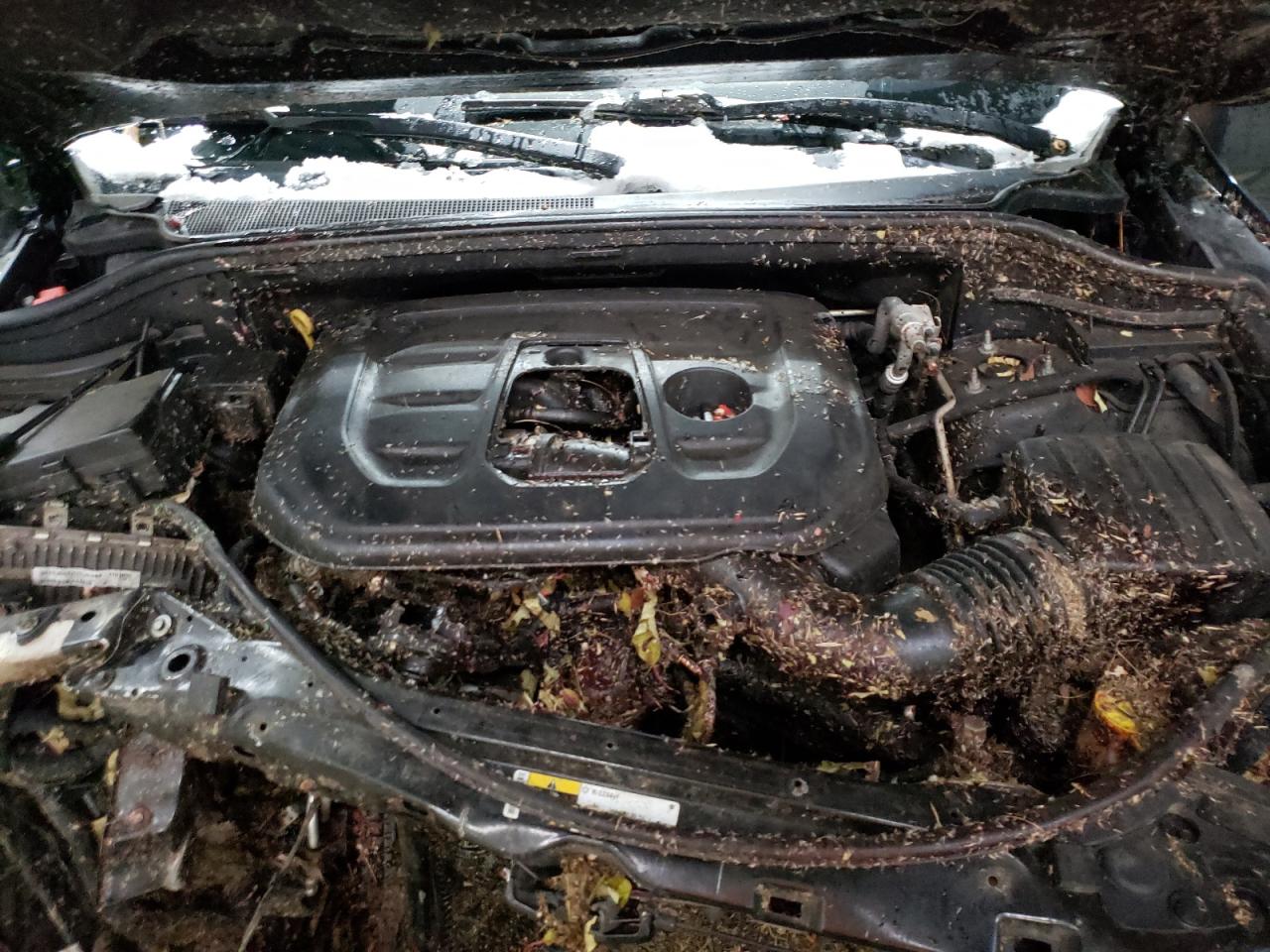 2018 JEEP GRAND CHEROKEE LAREDO photo 12