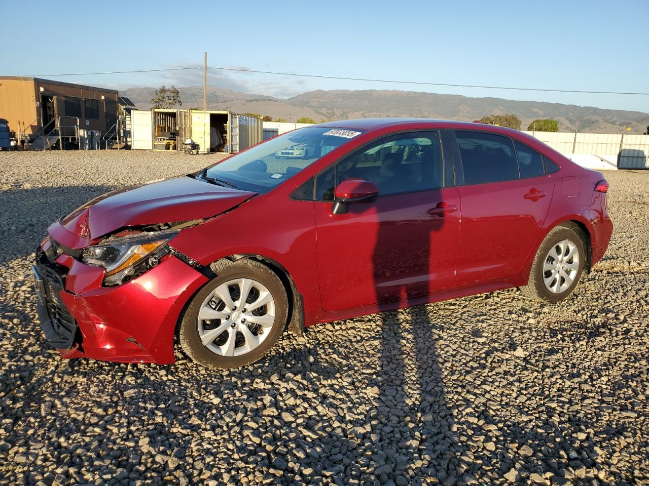 2024 TOYOTA COROLLA