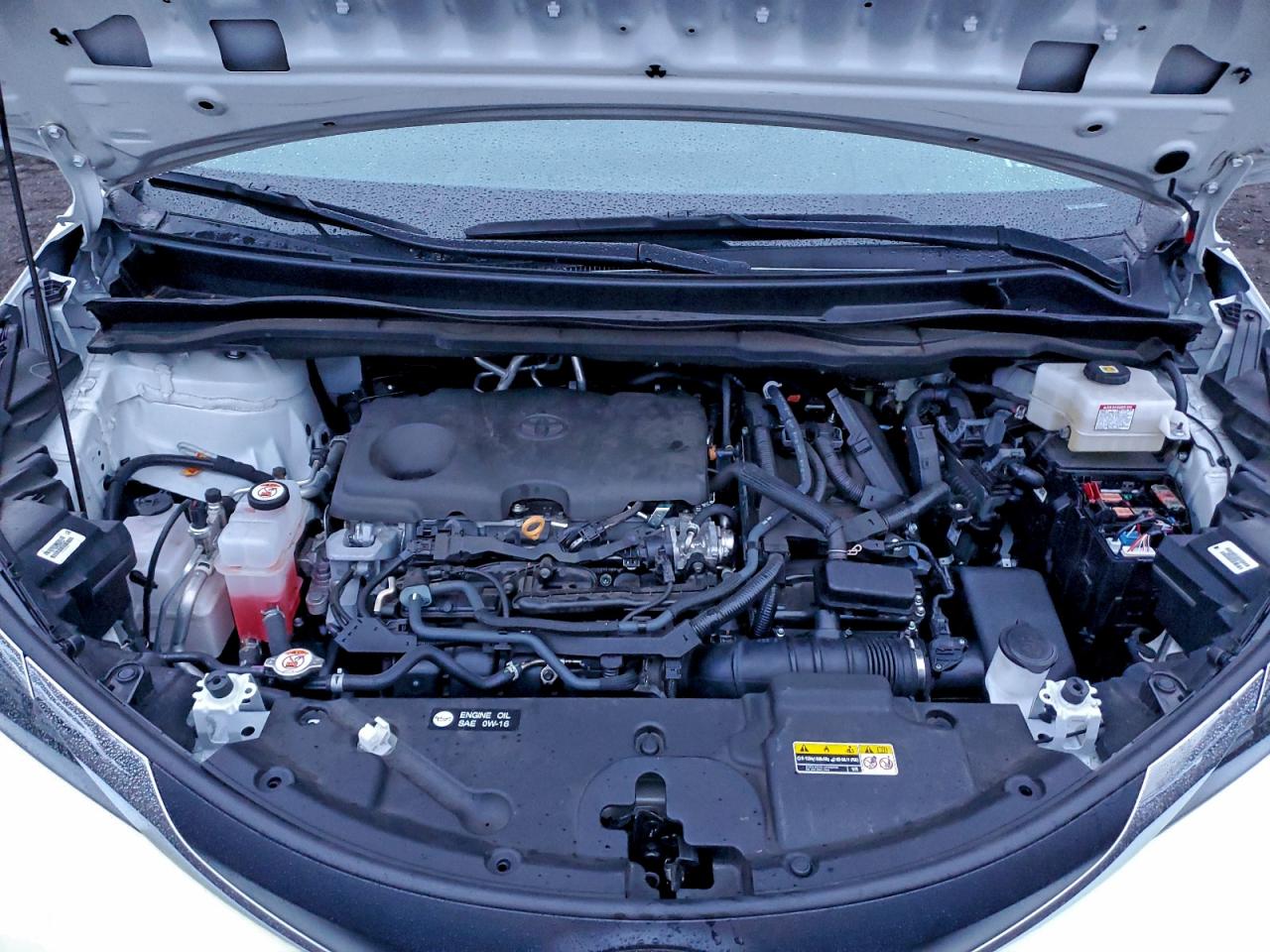2025 TOYOTA SIENNA XLE photo 12