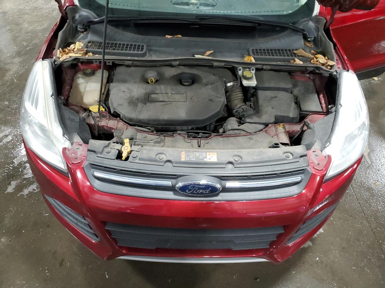 2015 FORD ESCAPE SE photo 12