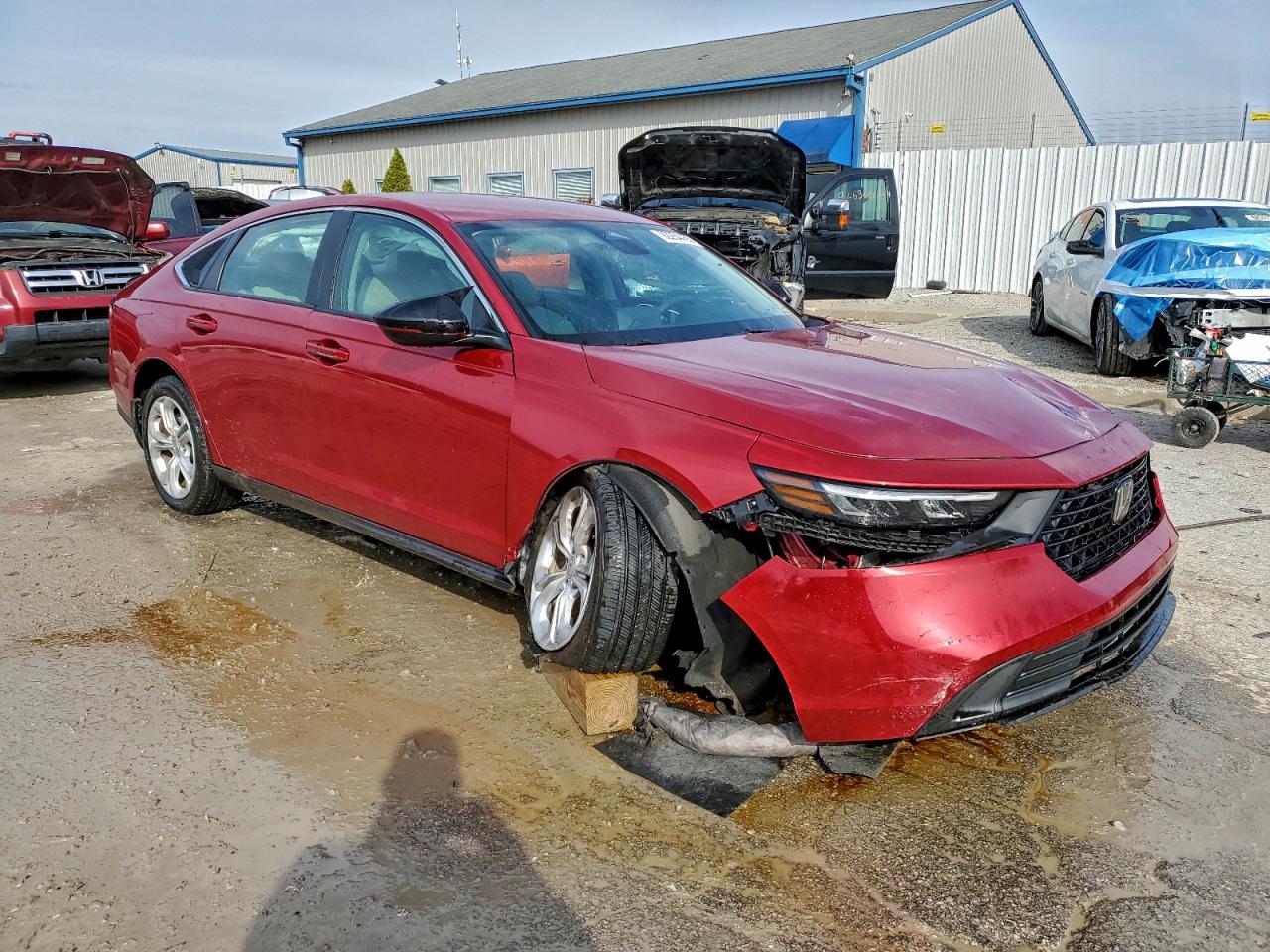 2025 HONDA ACCORD LX photo 4