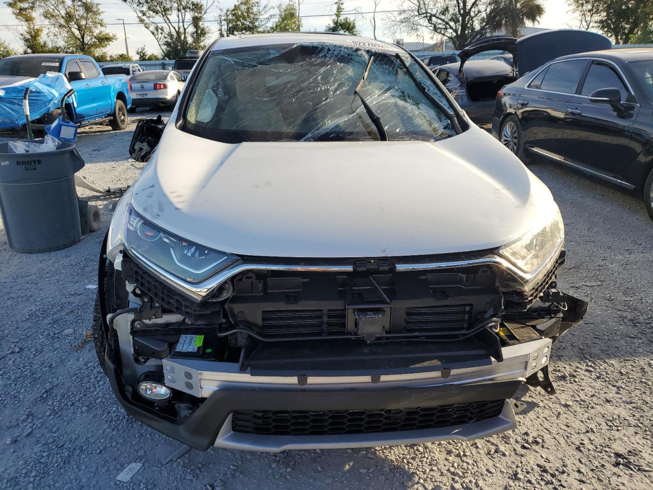 2019 HONDA CR-V EX photo 13