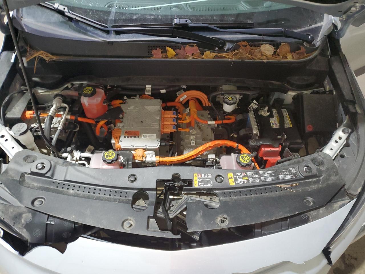 2023 CHEVROLET BOLT EUV LT photo 31