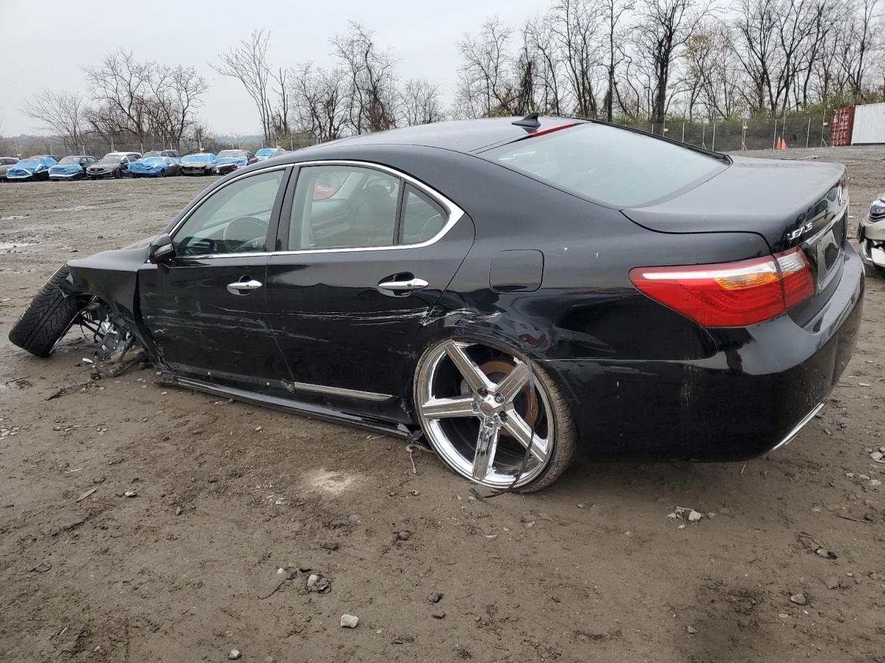 2010 LEXUS LS 460 photo 3