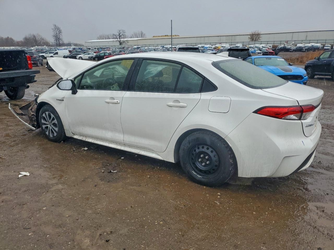2021 TOYOTA COROLLA LE photo 2