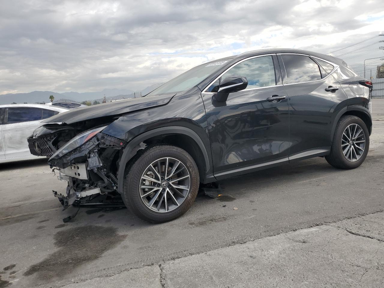 2024 LEXUS NX