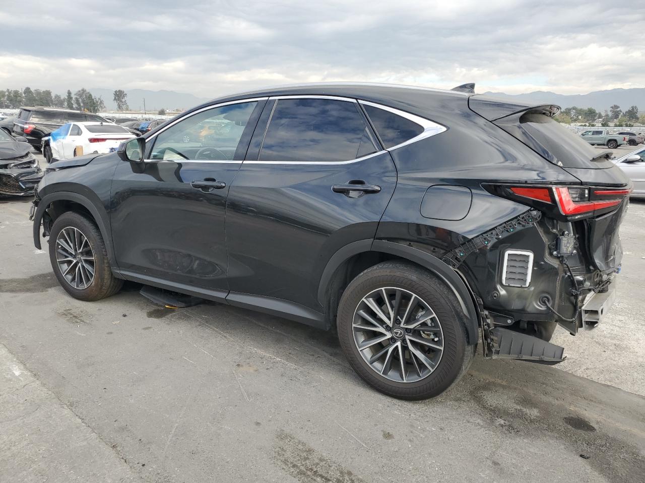 2024 LEXUS NX 350H BASE photo 2