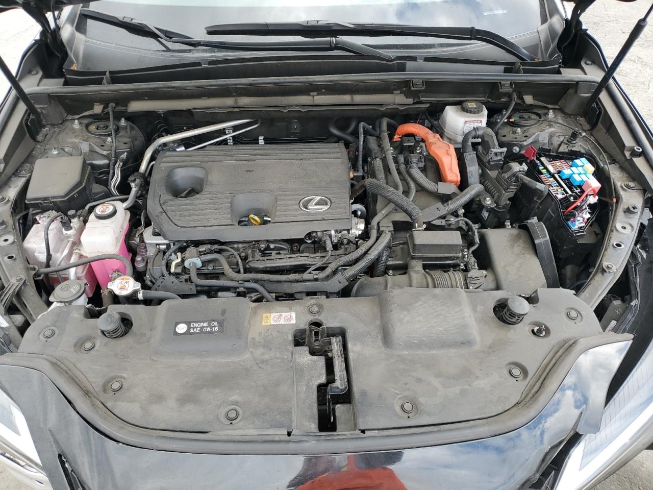 2024 LEXUS NX 350H BASE photo 12
