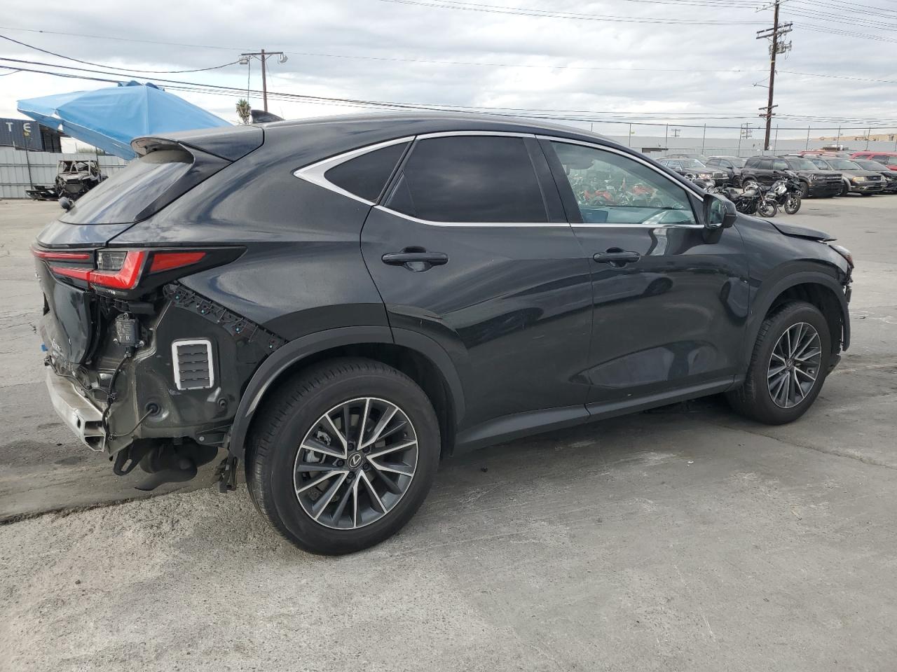 2024 LEXUS NX 350H BASE photo 3